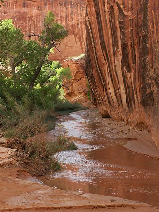 Green River Basin – Coyote Gulch
